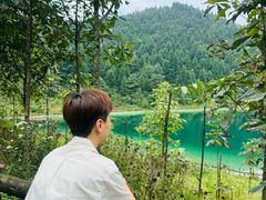 -武陵山森林公园