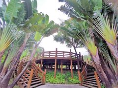 -深圳国际园林花卉博览园