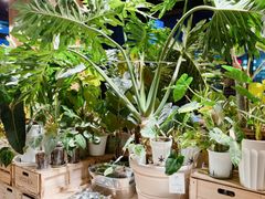 -1861意大利餐厅(文化广场店)