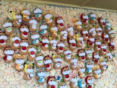 -柴犬高等学院·狗咖·柴犬售卖·宠物训练