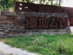 -东郊湿地公园