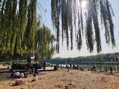 -大兴滨河森林公园