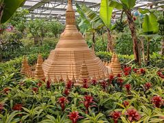 -南宫五洲植物乐园