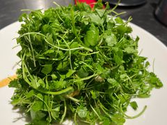 -No.DD戳子烧烤·江湖菜(北京总店)