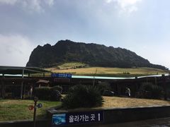 峰-济州岛泰迪熊博物馆