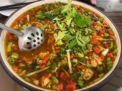 鱼蛋-飞虹鱼馆(春华路店)