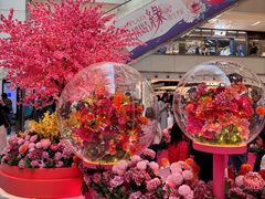 -新城市广场