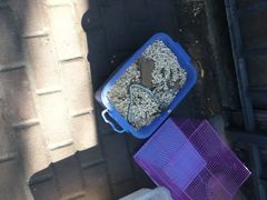 -山东柏宁水族批发广场