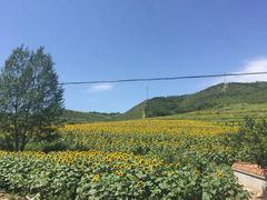 -木兰围场