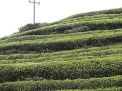 -浙江万里学院(钱湖校区)