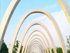 -大兴滨河森林公园