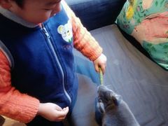 -藦茜花园宠物主题亲子互动体验馆(国顺东路店)