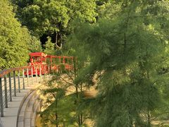 -云溪植物园