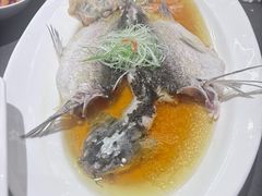 -蟹榭·本帮江浙菜·蟹宴(大宁久光商场店)