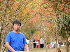 -广州市帽峰山景区