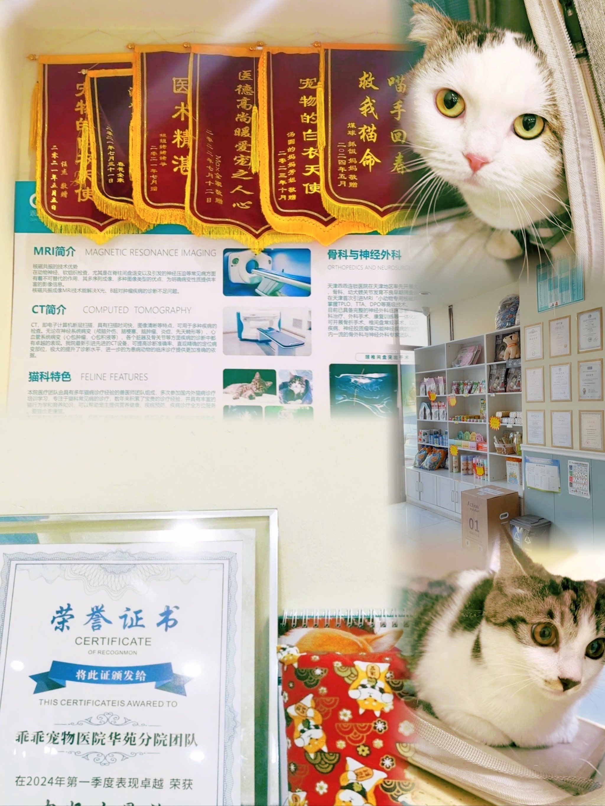 北京陪診服務公司	北京陪診收費價格表石景山區號販子掛號，所有別人不能掛的我都能的簡單介紹