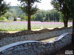 -紫海香堤香草艺术庄园