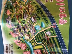 -田园东方蜜桃村的田野营地
