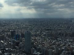 -东京都厅舍