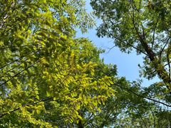 -白水寺森林公园