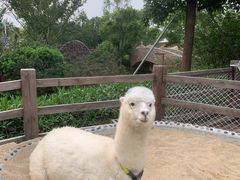 -珠海海泉湾神秘岛亲子乐园