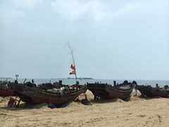 -日照海滨国家森林公园