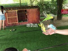 -秀丽东方
