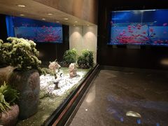 -九洲喜来登酒店湖月日餐厅