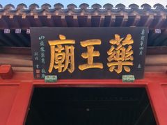 -药王庙(安国市)
