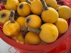 -苏州吴中太湖旅游区