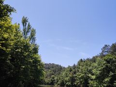 -青龙山国家森林公园