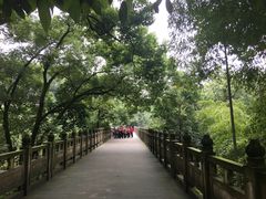 -南山植物园