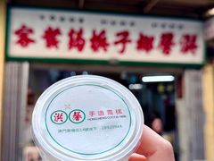 -洪馨椰子