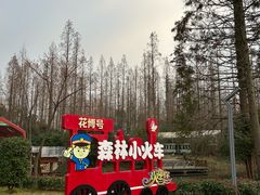 -东平国家森林公园