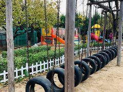 -静之湖湖畔餐厅