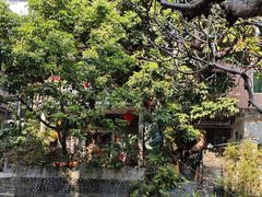 -小洲村