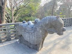 -上海佘山国家森林公园西佘山园