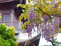 -龙华寺