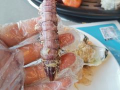 -大锅强·蒸海鲜青岛菜(吾悦广场店)