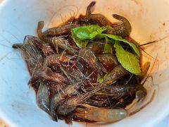 生炝虾-洋洋中餐馆·SINCE 1997(信投店)