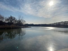 -大兴滨河森林公园