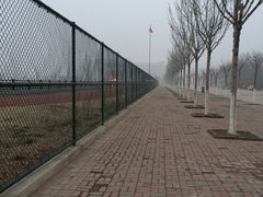 -南开大学滨海学院