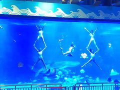 -烟台海昌鲸鲨海洋公园