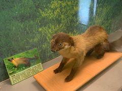 -下渚湖国家湿地公园科普馆