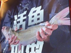 -老板恋上鱼(恒隆广场店)