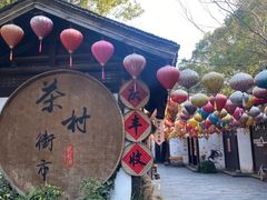 -天目湖山水园