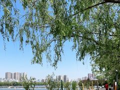 -长白岛森林公园