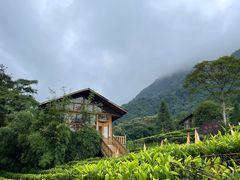 -姑婆山旅游区