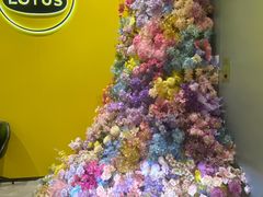 -莲花跑车(国贸商城店)