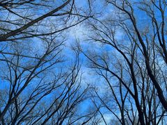 -野鸭湖国家湿地公园
